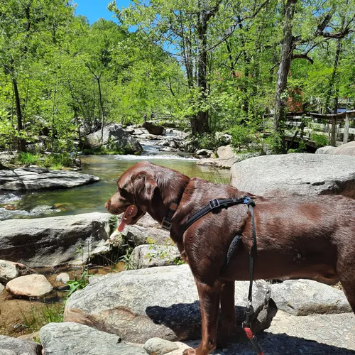 Best Hikes and Trails in Martha Rivers Park AllTrails