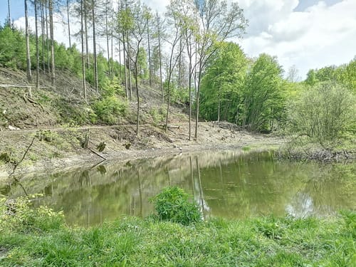 Durch den Reinhardswald und am Englischen Garten vorbei