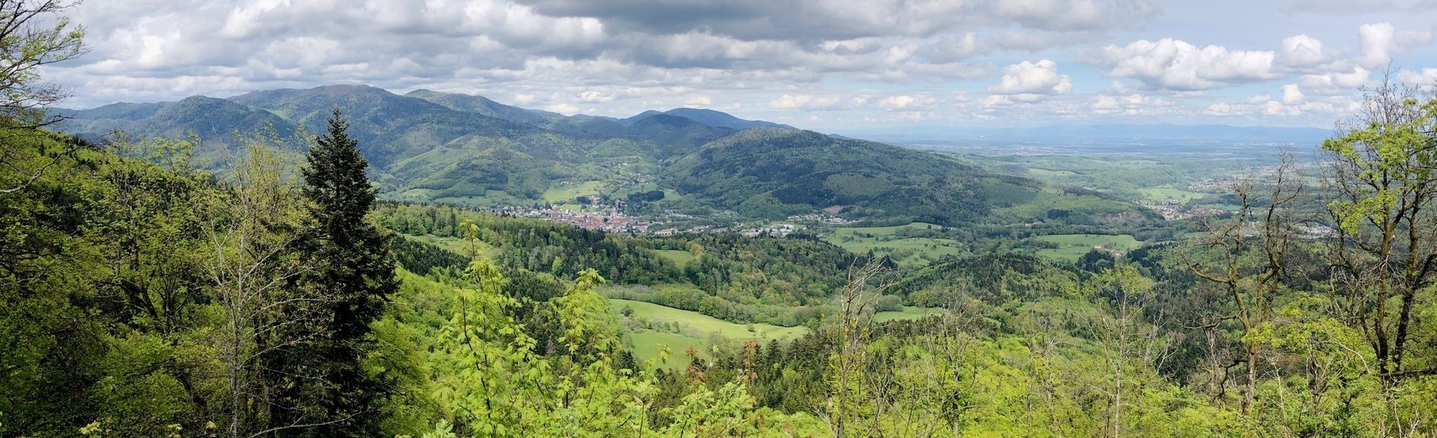 Lachtelweiher Lac De La Seigneurie Lac Bleu Haut Rhin France Alltrails