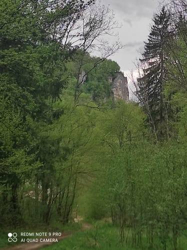 Löwenpfad Geislinger Felsentour
