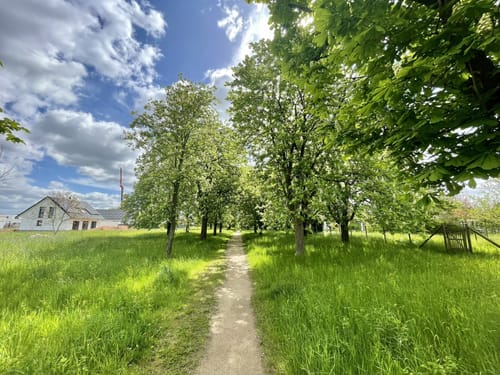 Wachendorf - Rißdorf - Weiler am Berge