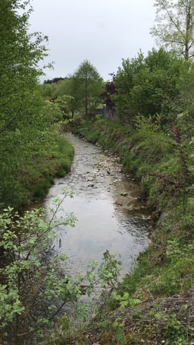 TS7 - Bürgerwaldrunde