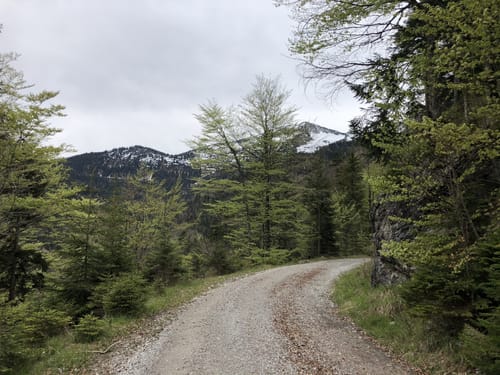 MTB- Runde: Eschenlohe - Simetsberg