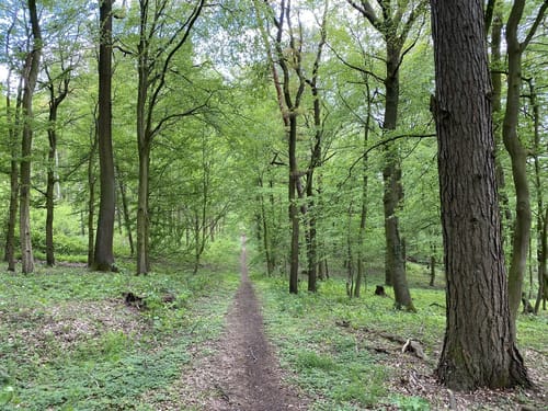 Wanderung zur Hessens Krone