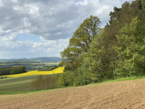 Durch den Langenwald zur Burg Heiligenburg
