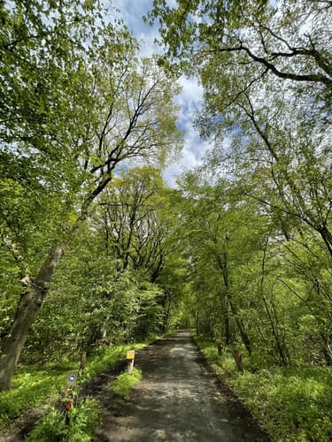 Ohlstedt - Wohldorfer Wald - Duvenstedter Brook