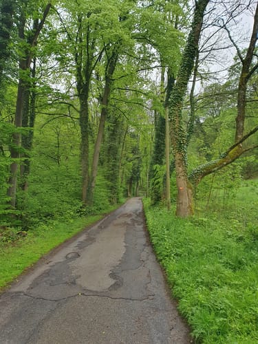 Butterbaum - Brahmskopf Rundweg