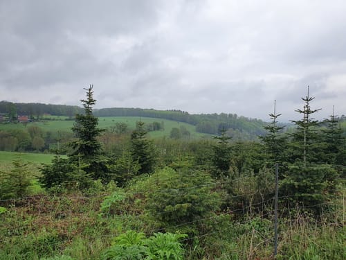 Butterbaum - Brahmskopf Rundweg