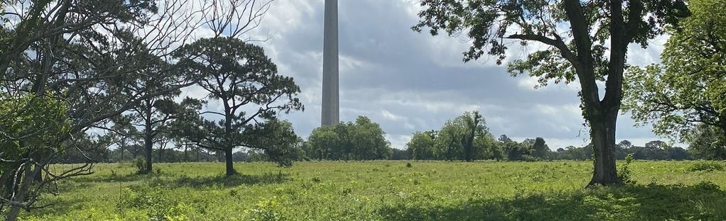 are dogs allowed at the san jacinto monument