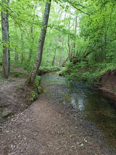 Bonlanden und Bombach Rundweg