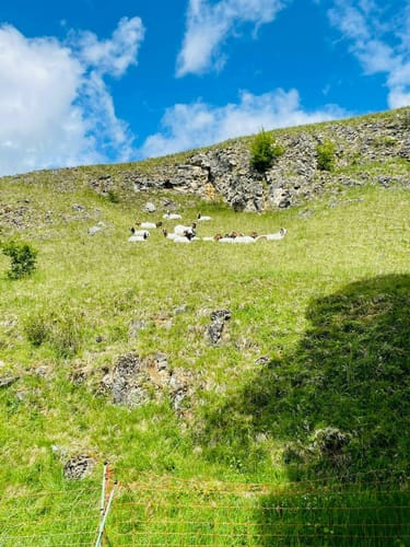 Vom Schlossberg zum Weidentipi in Hermaringen