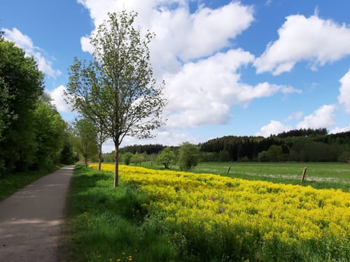 Rundwanderweg Emmeringer Leite