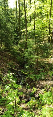 Rundwanderung Talsperre Lichtenberg