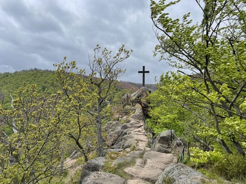Durch das Ilsetal zur Plessenburg
