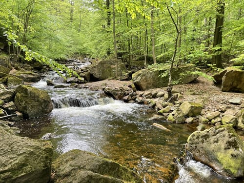 Durch das Ilsetal zur Plessenburg