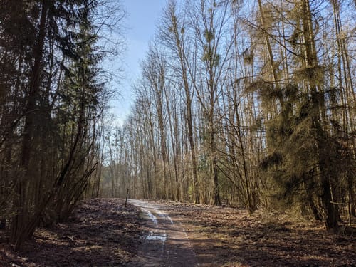 66-Seen-Rundweg Etappe 8: Strausberg - Rüdersdorf