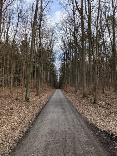 66-Seen-Rundweg Etappe 9: Rüdersdorf - Hangelsberg