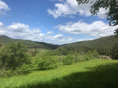 Burg Berwartstein - Seehofweiher - Klein Frankreich