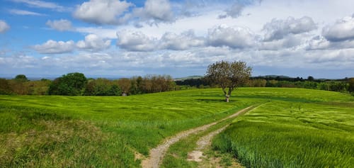 Brunnenweg (Geopfad Östringen)