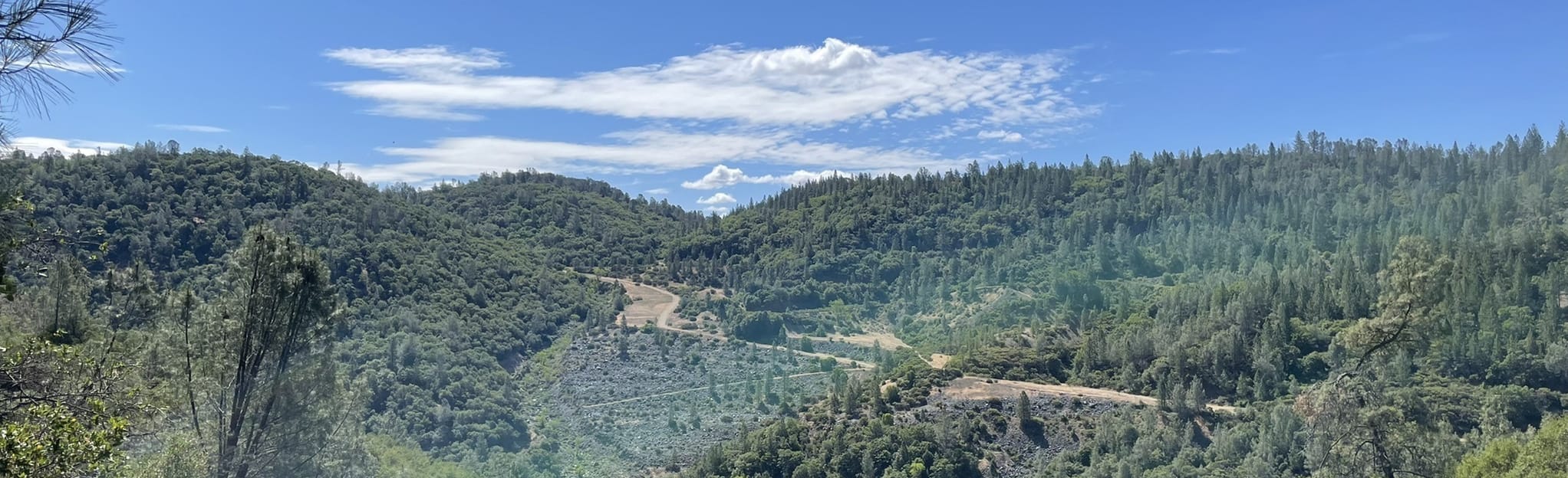 Robie Point Firebreak and Riverview Trail Loop 278 Reviews, Map