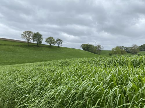 Windrather Tal und Elfringhauser Schweiz