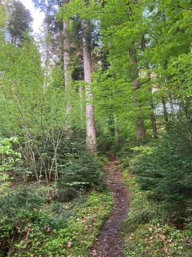Erlach -  Gestratz - Altenburg