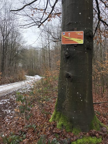 Kocher-Jagst-Trail Etappe 1: Blaufelden - Hessental (Jagststeig Etappe 1)
