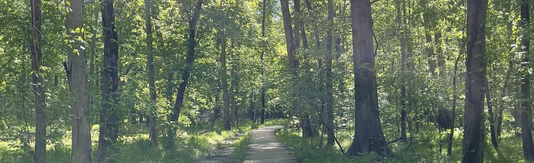 Yellow Trail and Bluebell Trail Loop, Virginia 120 Reviews, Map