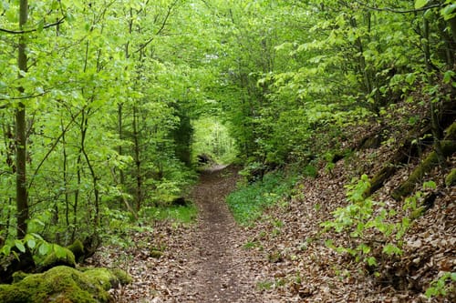 Altmühl Panoramaweg Schlaufe 16: Mühlenweg