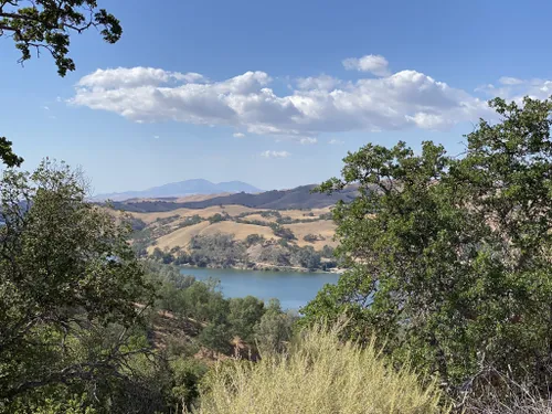 are dogs allowed at del valle regional park