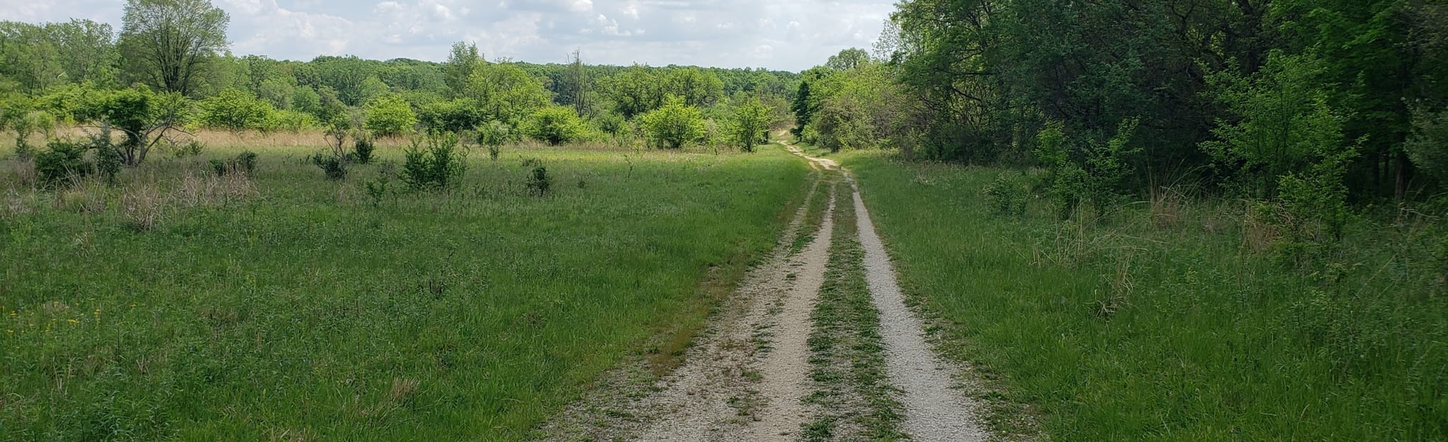 Poplar Creek Yellow Trail 292 Reviews, Map Illinois AllTrails