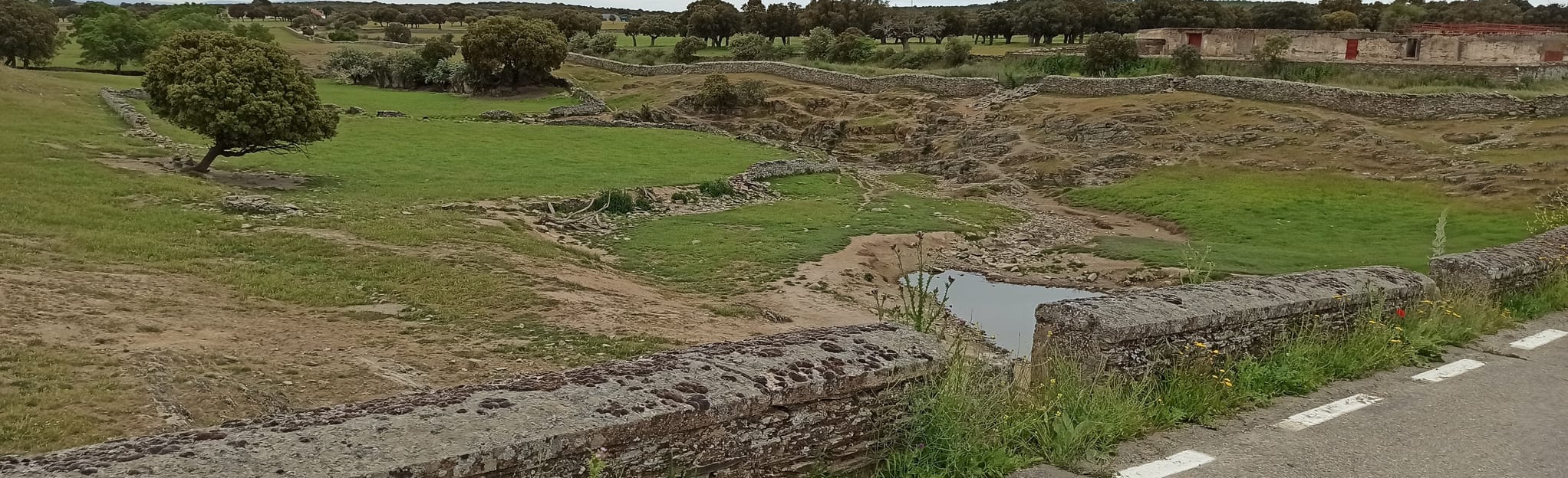 Vía de la Plata Fuenterroble de Salvatierra a San Pedro de Rozados 8
