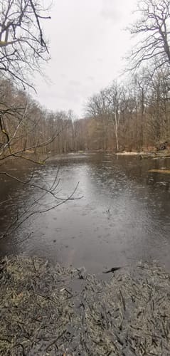 Wanderweg Hünenteich