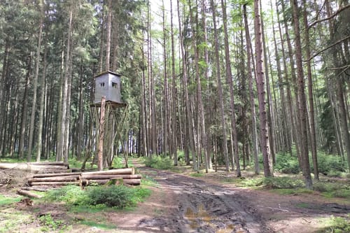 Bergmanns-Weg US 22