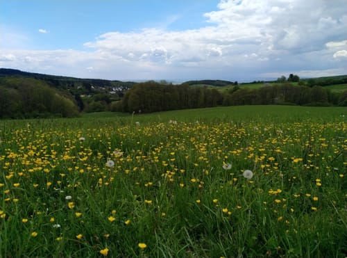 Himmelssteig Stephanshausen