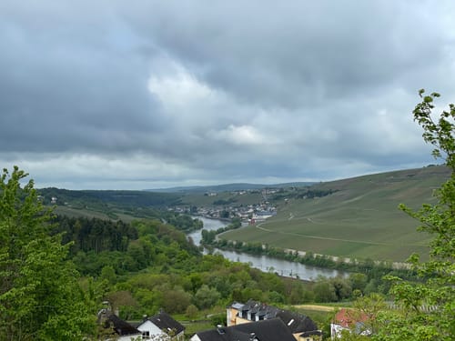 Von Nittel auf dem Moselsteig
