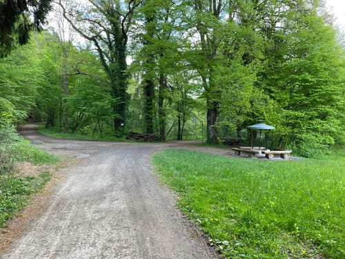 Herzog-Jäger-Pfad (Premiumwanderweg)