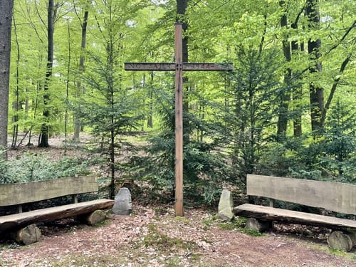 HeimatSpur Pfad der Artenvielfalt