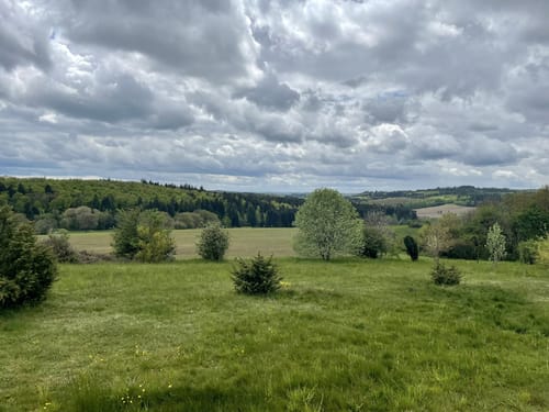 HeimatSpur Pfad der Artenvielfalt
