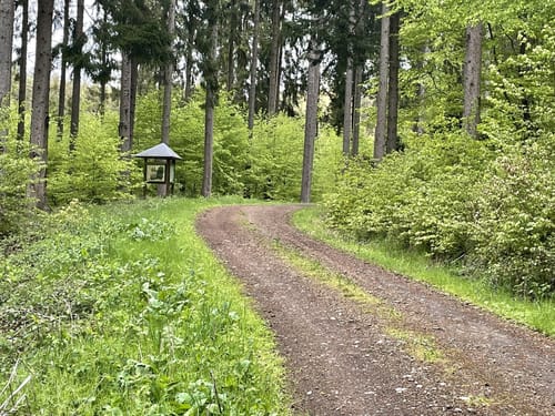 HeimatSpur Pfad der Artenvielfalt
