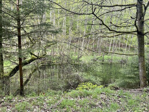 HeimatSpur Pfad der Artenvielfalt