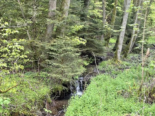 HeimatSpur Pfad der Artenvielfalt