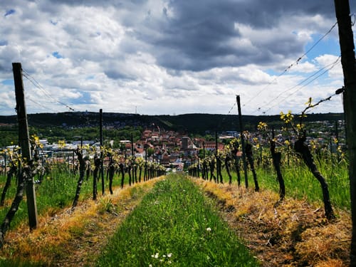 Kirchheim am Neckar - Walheim