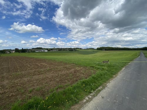 Herrenstrunden Bergisch-Gladbach Rundweg