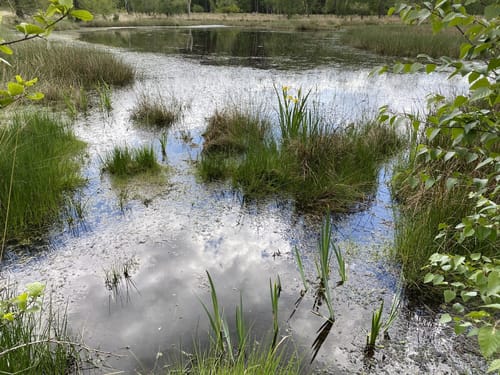 Galgenvenn (Premiumwanderweg)