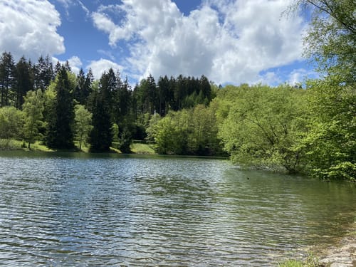 Rund um die Wuppertalsperre