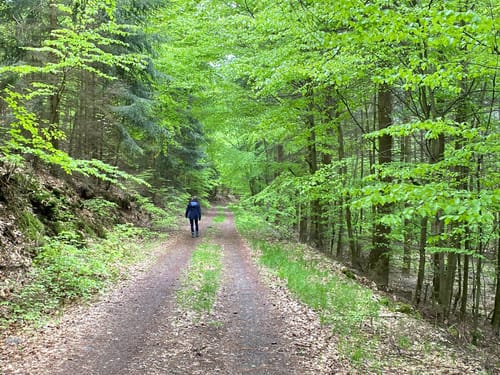 Runde an der Gemündener Höhe