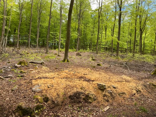 Runde an der Gemündener Höhe