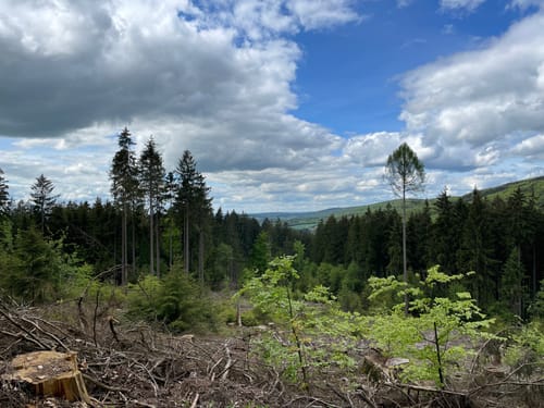 Emsbachtalweg