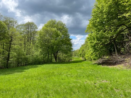 Emsbachtalweg